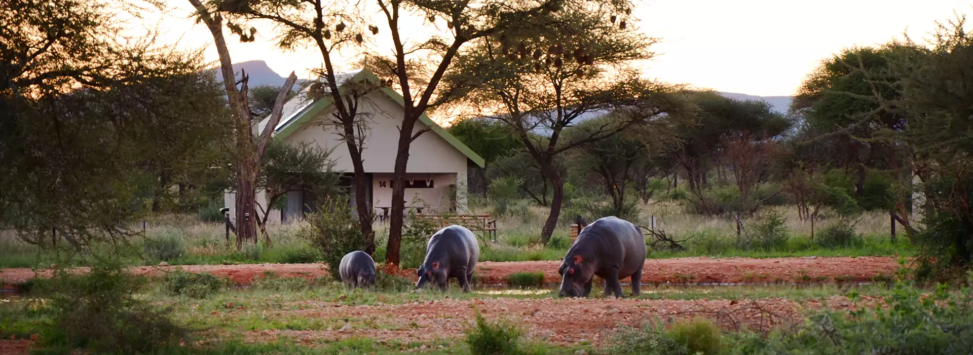 Erindi Game Reserve | Camp Elephant
