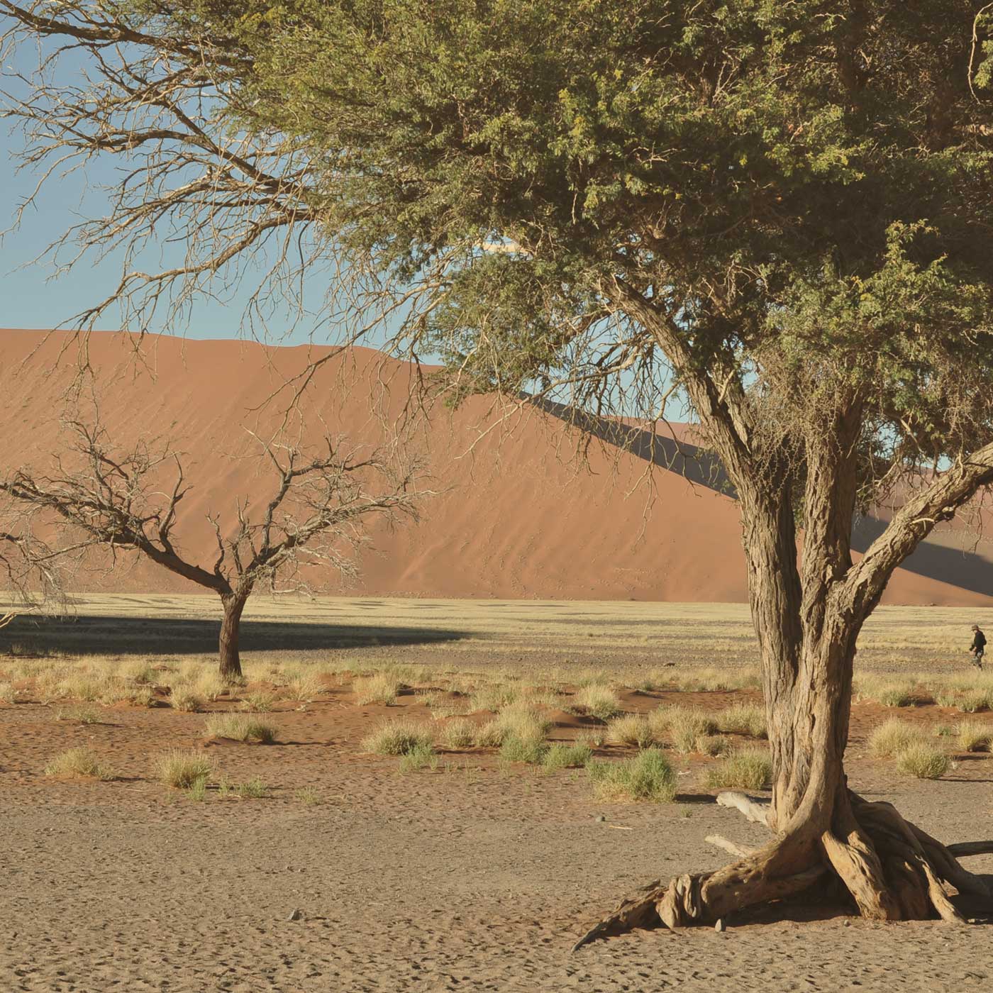 Namib/Sossusvlei